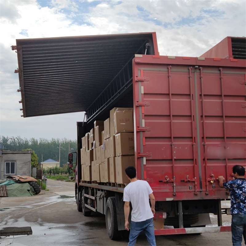 西陵区扎囊县：物流专线的高效货运之旅